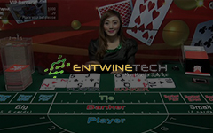 EntwineTech  