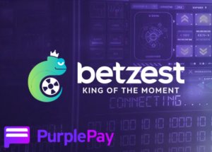 betzest_purple_pay