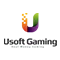 Usoft  